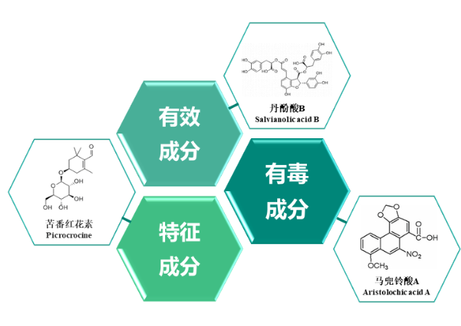 诗丹德：用标准赋能健康产业