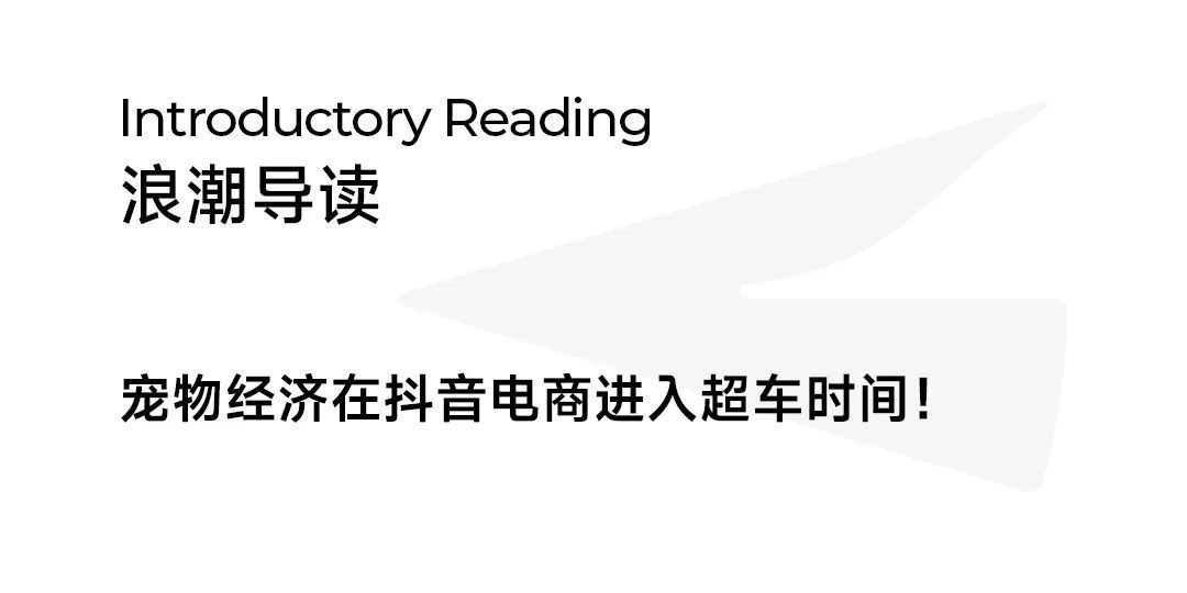 双11宠物经济爆发，商家做对了啥？